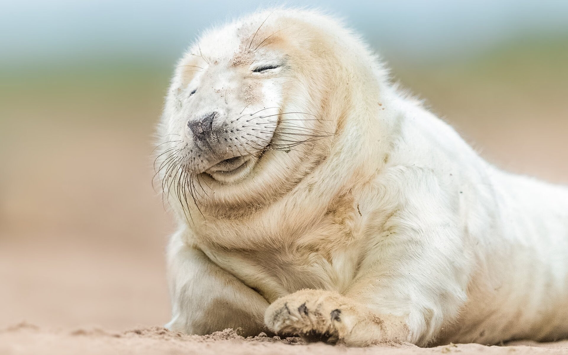 北欧神话续写,瑞典压哨绝杀巴西,东决关键战铸就冰与火之歌