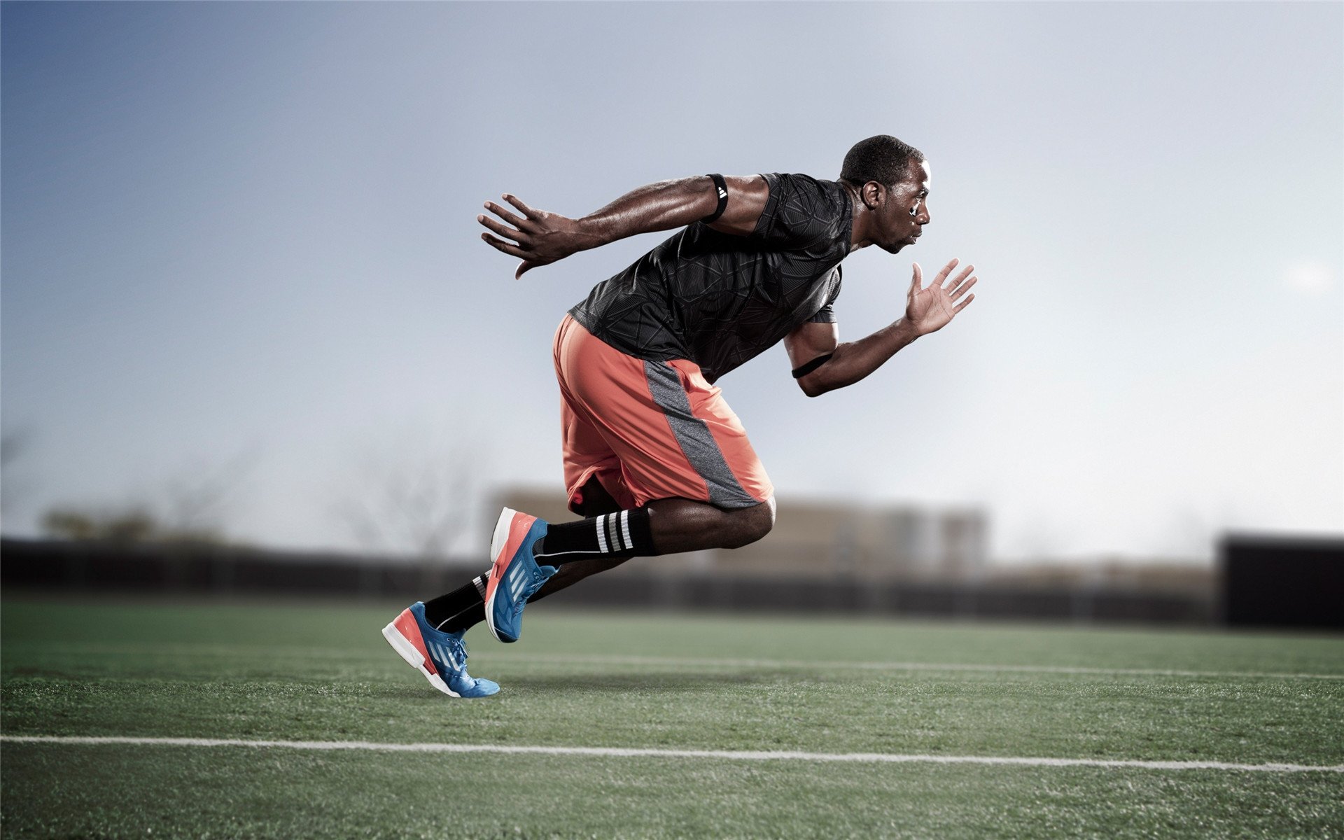 开云官方app入口-莫兰特，新王加冕夜，一记绝杀重写风城恩怨